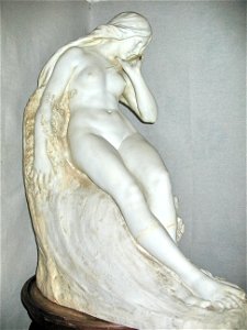 BirthVenus