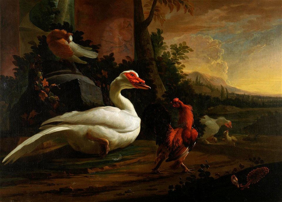 Abraham Busschop - Muscovy Duck with Exotic Chickens and Dove