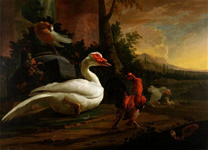 Abraham Busschop - Muscovy Duck with Exotic Chickens and Dove