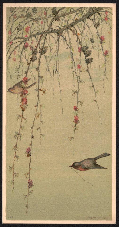 Bits of nature, panel no. 291, larch - FB ; after Miss F. Bridges. LCCN2016652333
