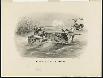 Black duck shooting - Thos. Worth. LCCN90711926
