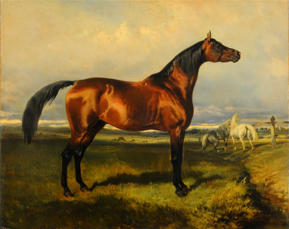 Caballos en libertad - Alfred de Dreux