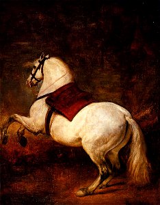 Caballo blanco, by Diego Velázquez. Free illustration for personal and commercial use.