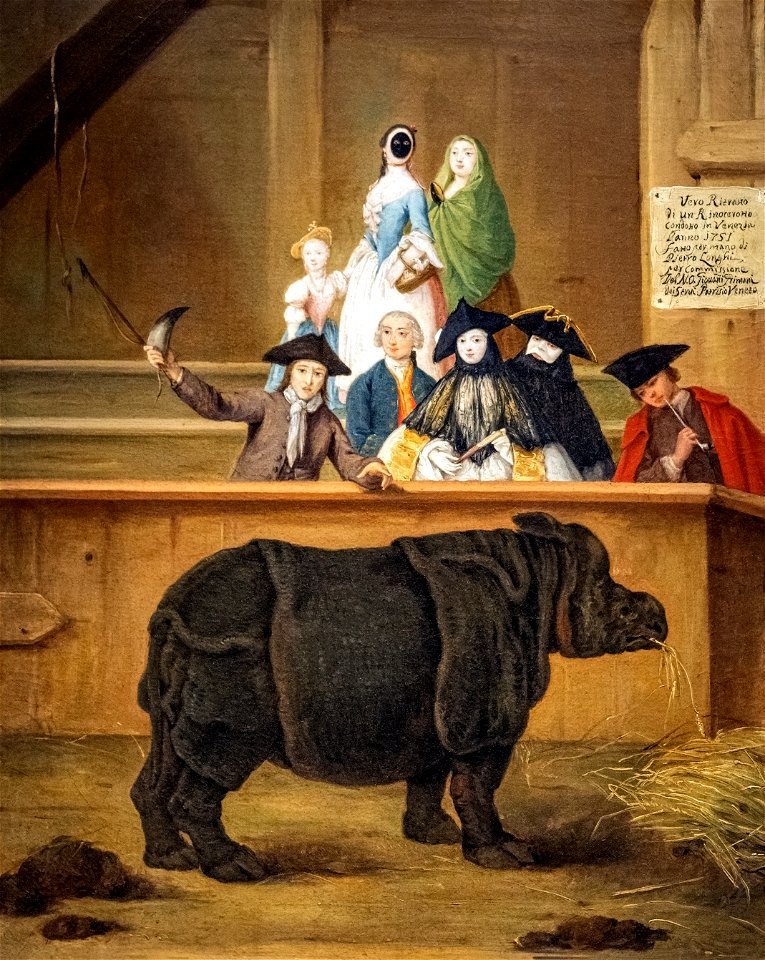 Ca' Rezzonico - Il rinoceronte 1751 - Pietro Longhi 