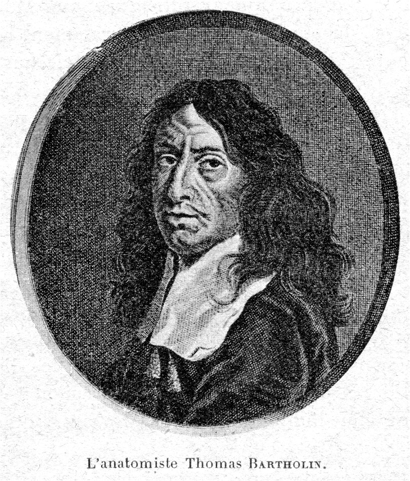 Cabanès, Éducation de Princes011 L'anatomiste Thomas Bartholin