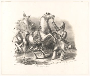 Caballo espantado LCCN2003672935