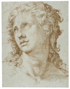 Cabeza masculina (Passerotti)