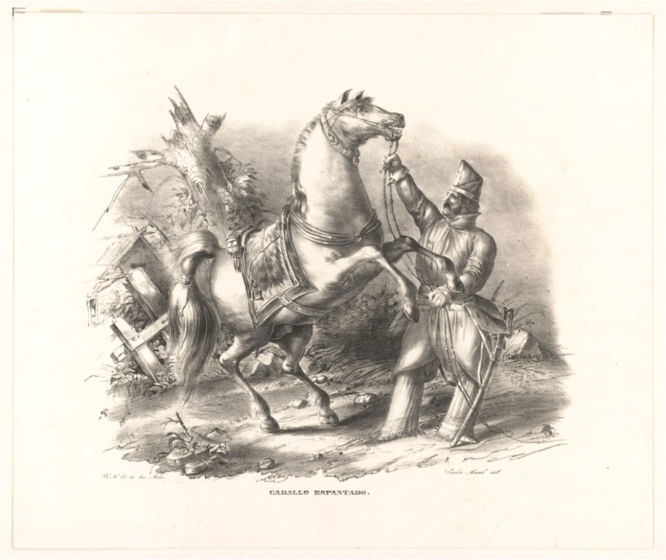 Caballo espantado LCCN2003672935