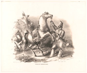 Caballo espantado LCCN2003672935