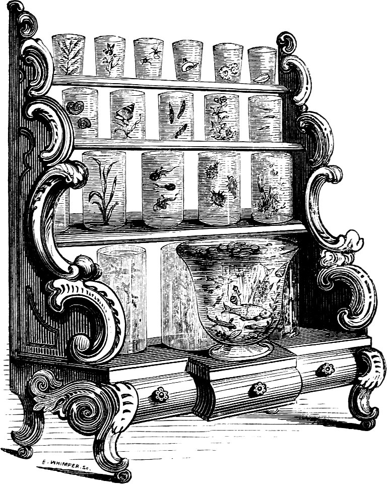 Cabinet Aquarium-Book of Aquarium-0006