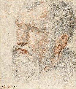 Cabeza de hombre, Rómulo Cincinato