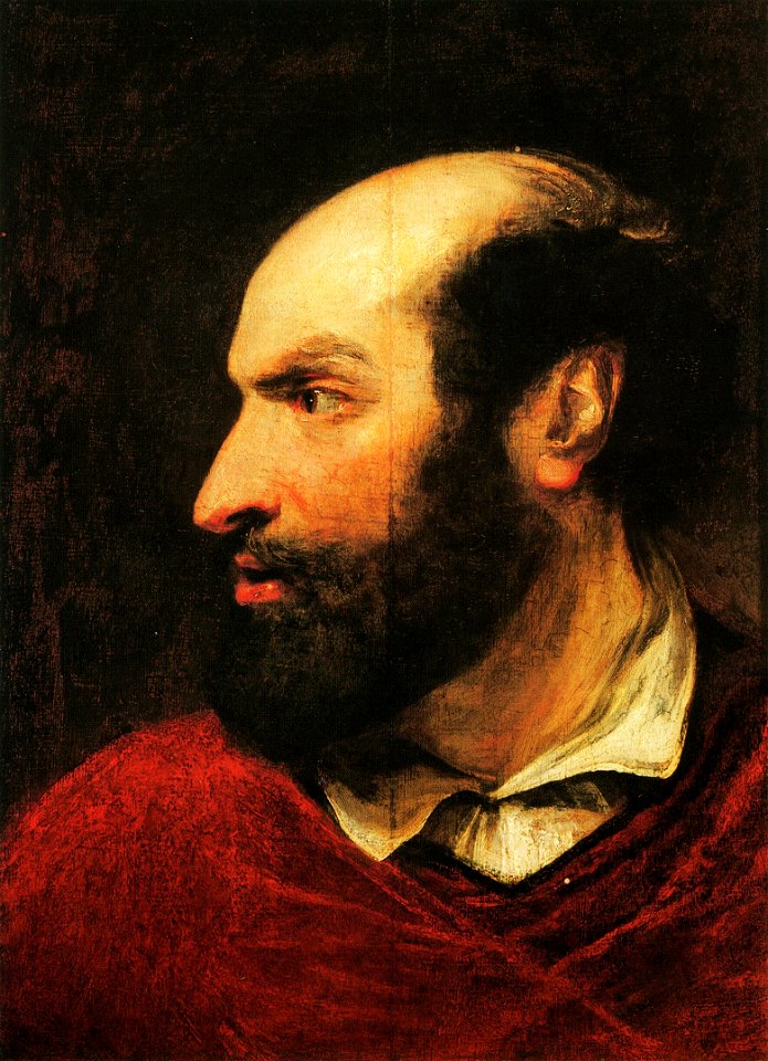 Cabeza masculina - Anónimo