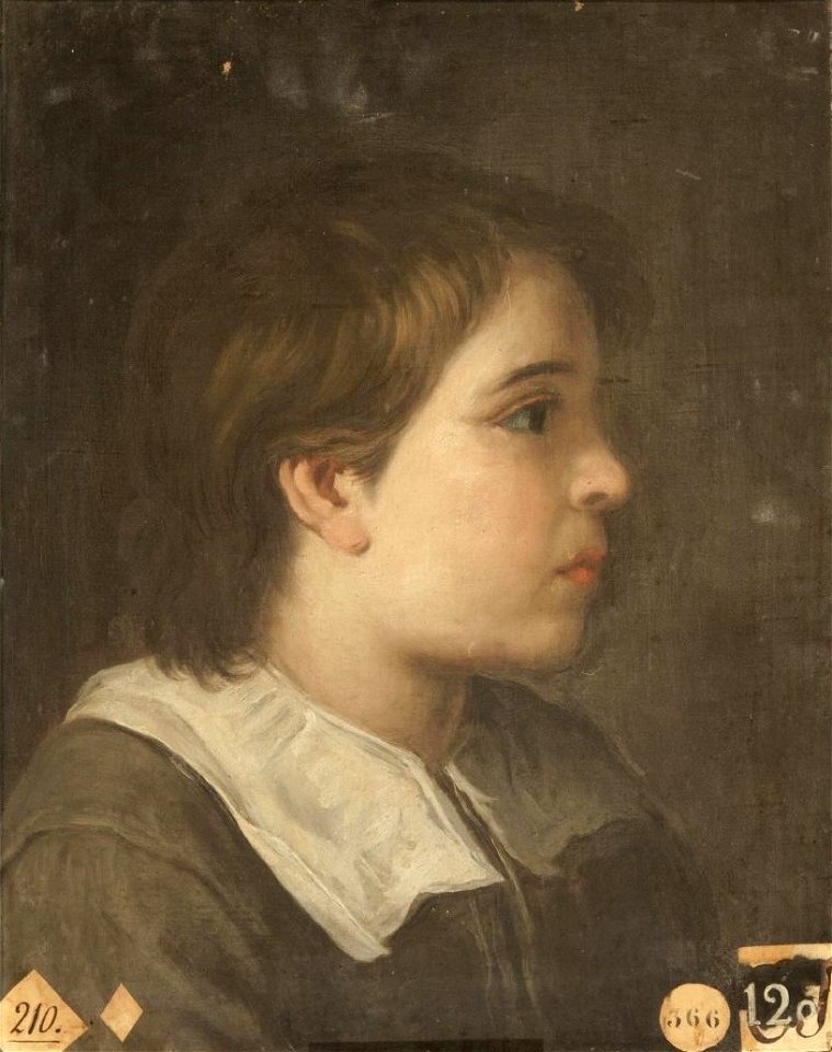 Cabeza de muchacho, copia de un original de Murillo (Real Academia de Bellas Artes de San Fernando)