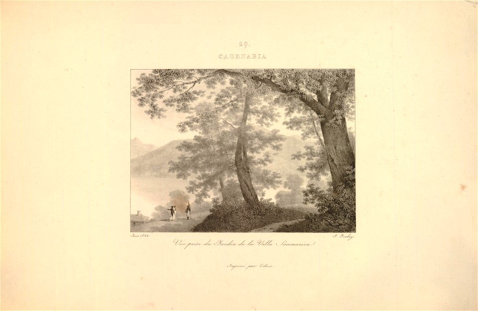 Cadenabia - vue prise du jardin de la villa Sommariva (BM 1920,0420.114)