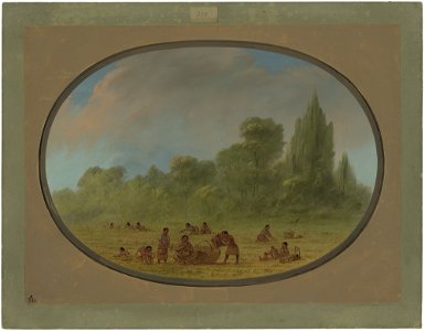 Caddoe Indians Gathering Wild Strawberries C15902