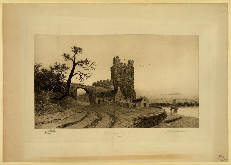 Caernarvon Castle, Ireland LCCN2003681634