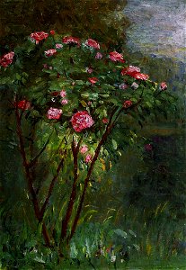 Caillebotte - Rose Bush in Flower, 1884