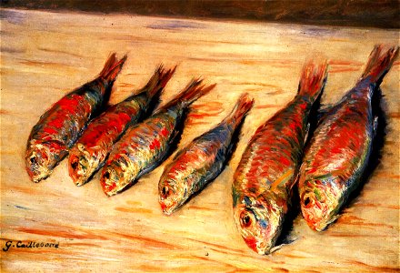 Caillebotte - Mullet, 1882