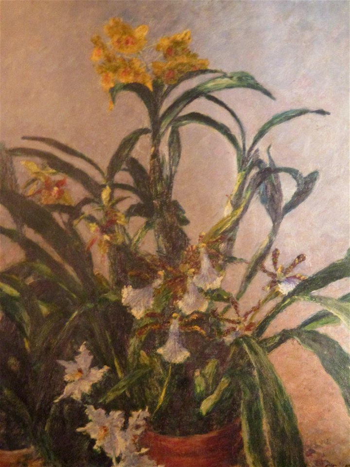 Caillebotte Orchidées jaunes 1893