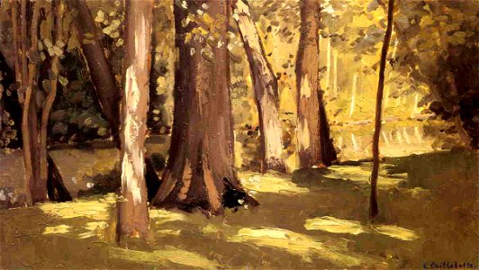 Caillebotte - The Yerres, Effect of Light, circa 1871-1878