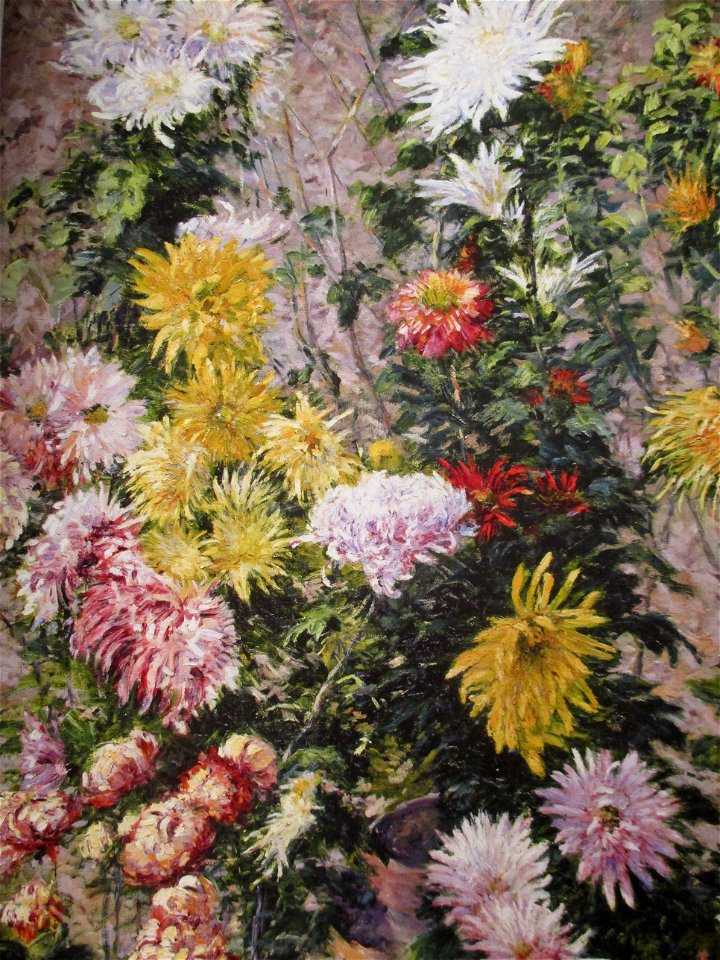 Caillebotte Chrysanthèmes blancs et jaunes