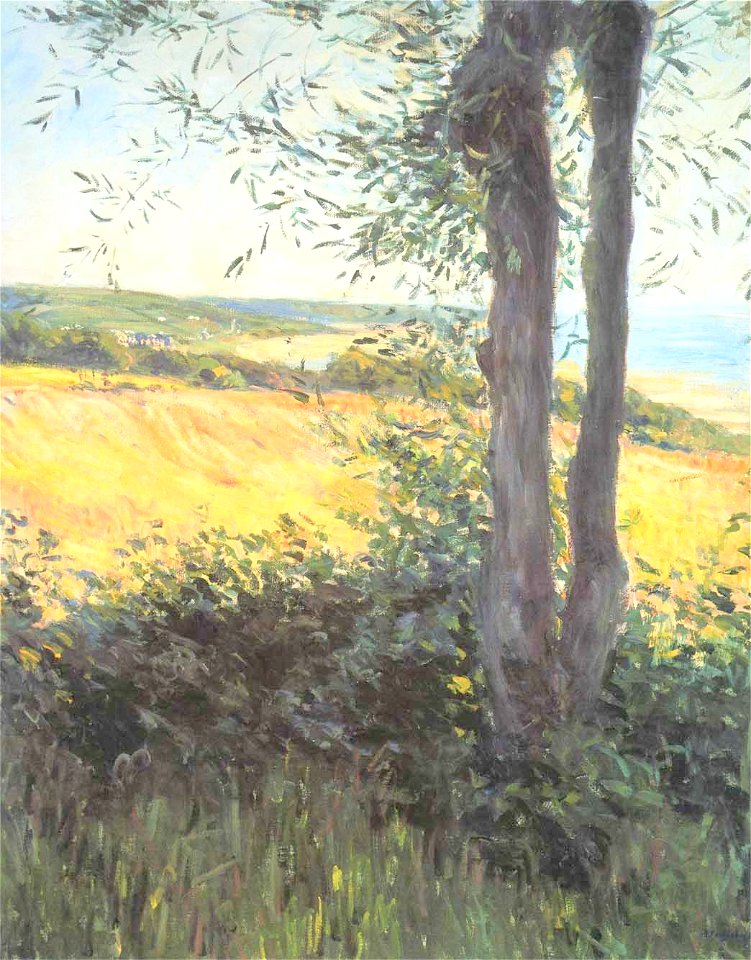 Caillebotte - By the sea at Normandy, 1884