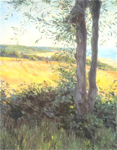 Caillebotte - By the sea at Normandy, 1884