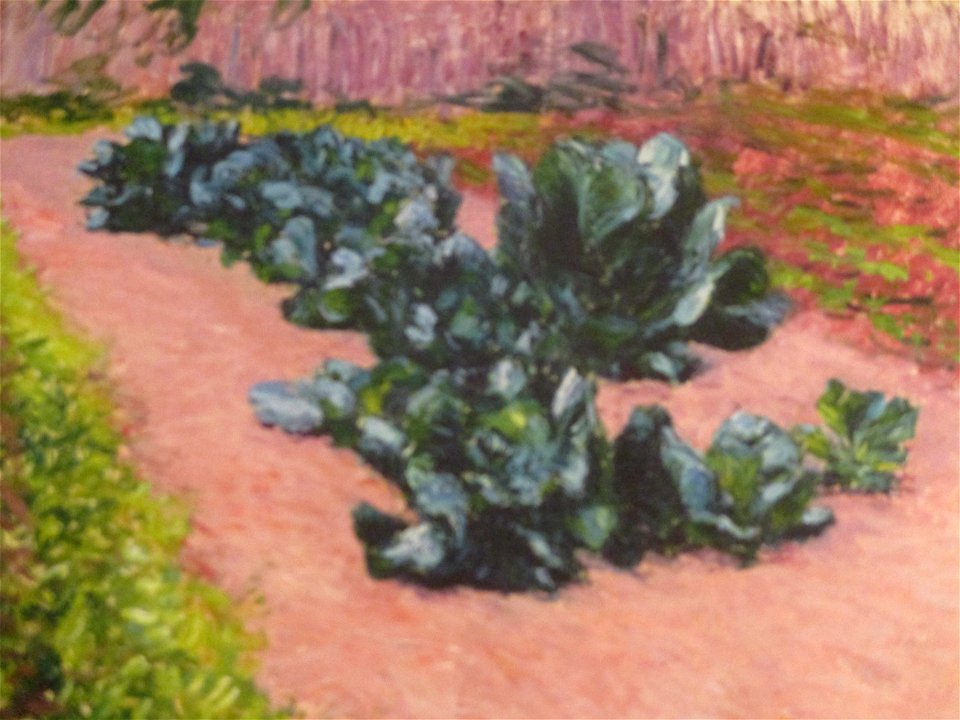 Caillebotte Choux 1885
