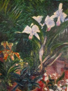 Caillebotte Orchidées 1893