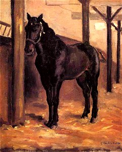 Caillebotte - Yerres, Dark Bay Horse in the Stable, circa 1871-1878