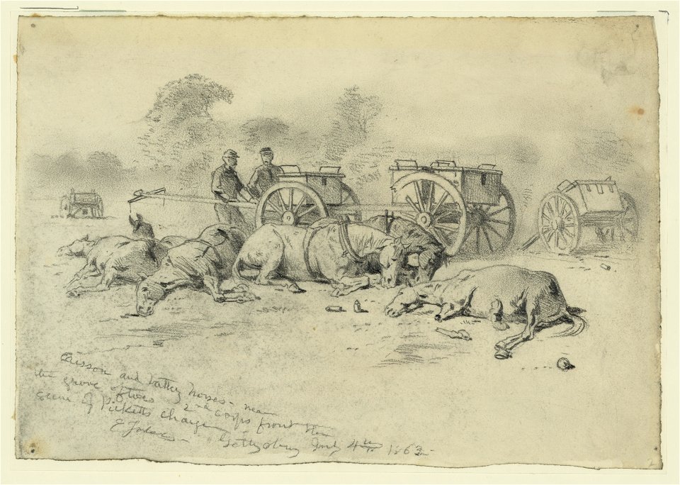 Caisson and battery horses - near the grove of trees; scene of Picketts charge LCCN2004661454