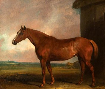 British (English) School - The Favourite Horse of Lord Charles Vere Ferrers Townshend - 343247 - National Trust