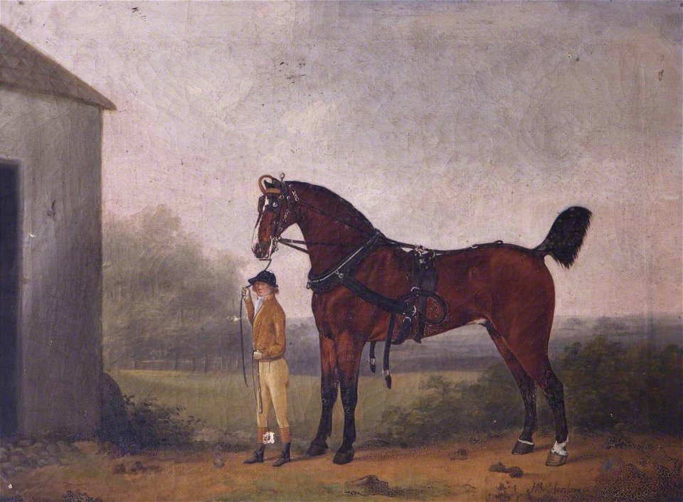 British School - A Boy Leading a Horse - 355576 - National Trust