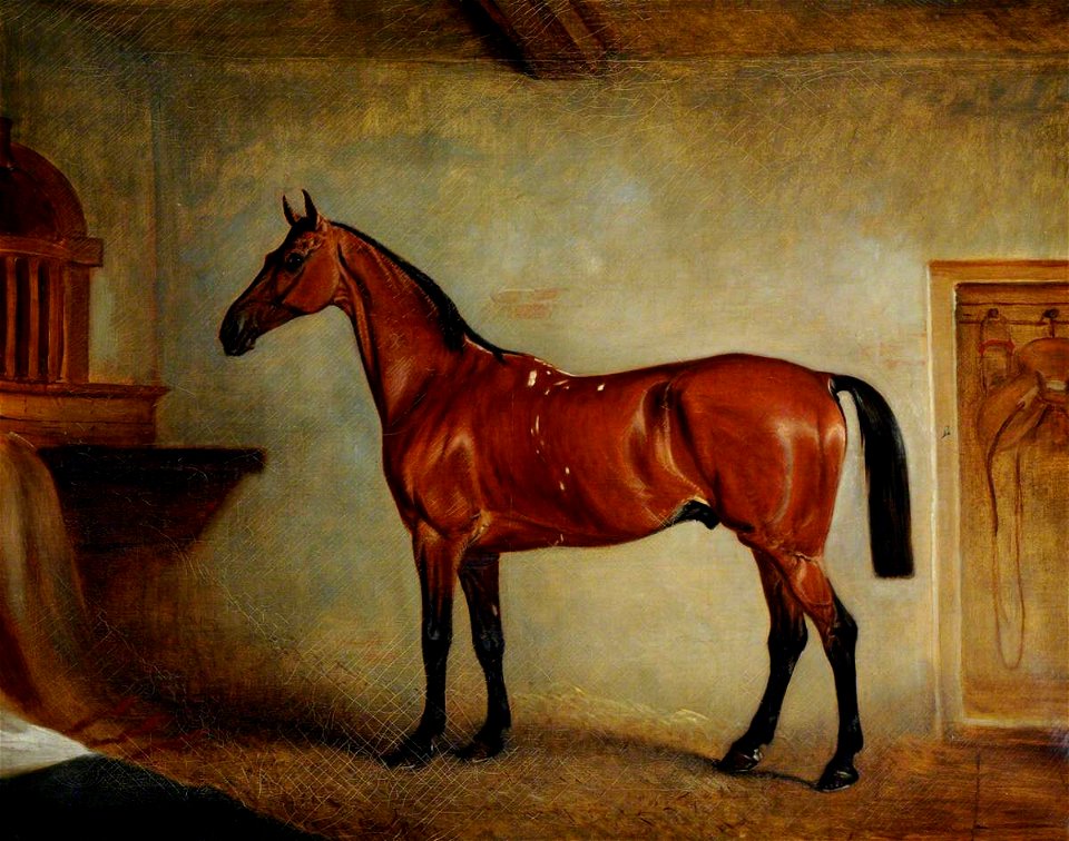 British School - A Bay Horse in a Stable - 290484 - National Trust