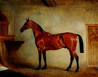 British School - A Bay Horse in a Stable - 290484 - National Trust