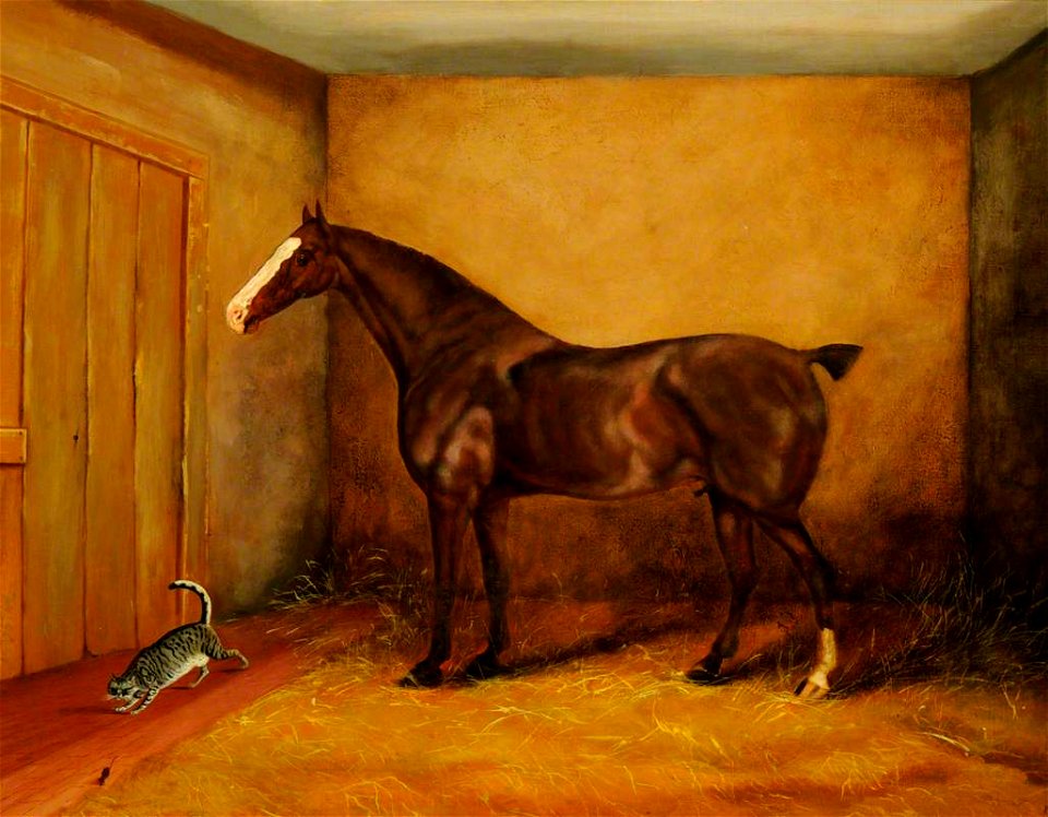 British School - A Brown Horse in a Stable with a Cat and Mouse - 1548267 - National Trust