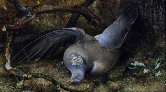 British School - A Dead Pigeon - 533907 - National Trust