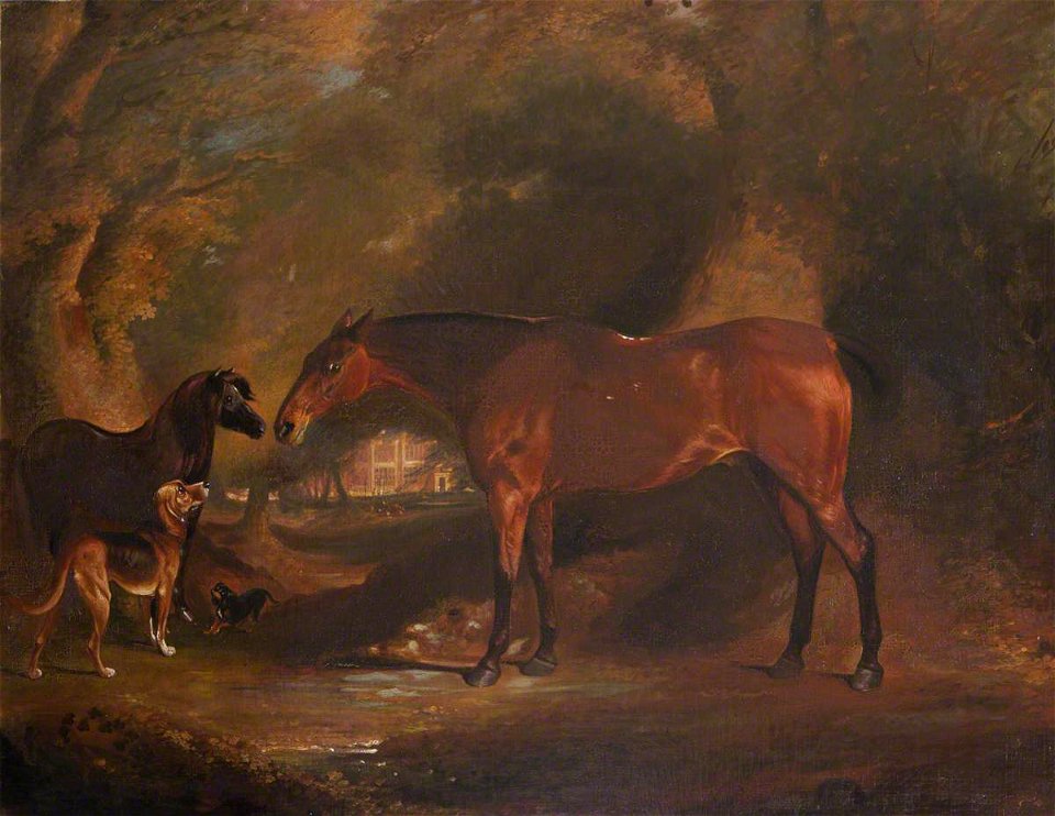British School - A Bay Horse, Pony, Bloodhound and Dachshund outside Felbrigg Hall - 1401221 - National Trust