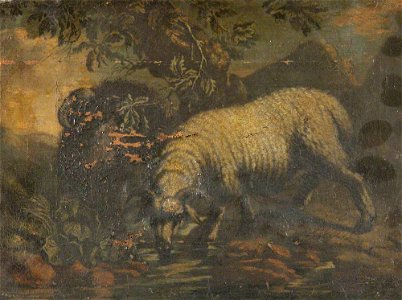 British School - A Sheep - 1151422 - National Trust