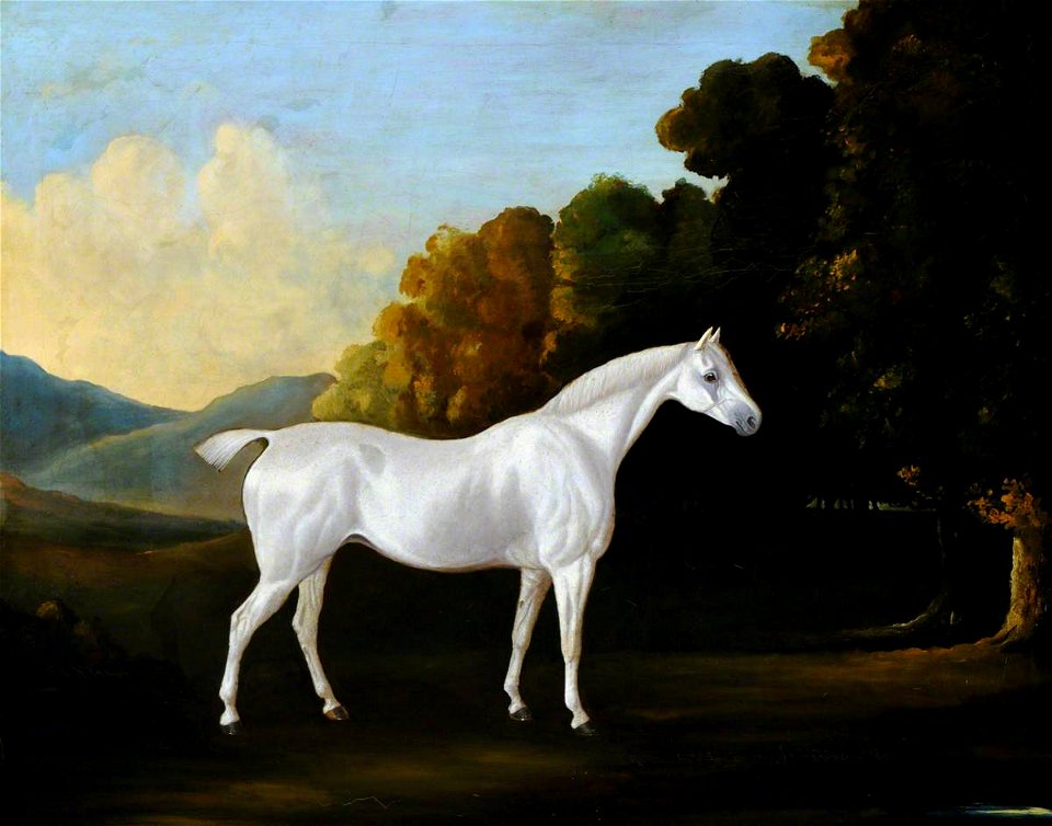British School - A White Stallion in a Landscape - 290267 - National Trust