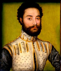 Corneille de Lyon - François de Montmorency - Clark Art Institute