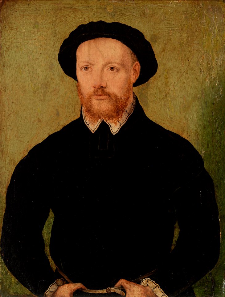 Corneille de Lyon - Man with Red Beard - BF775 - Barnes Foundation