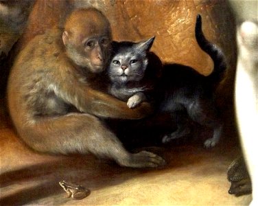 Cornelis Cornelisz. van Haarlem - The Fall of Man - Monkey, Cat, Frog, Hedgehog (detail),