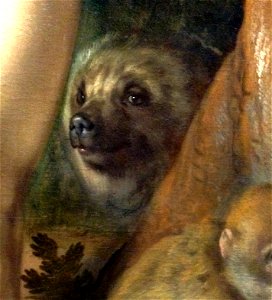 Cornelis Cornelisz. van Haarlem - The Fall of Man - Bear (detail)