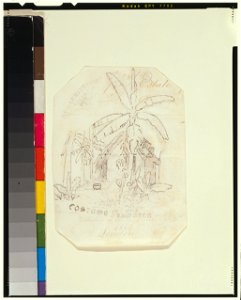 Costume of Jamaica - Watchman. LCCN2007676237