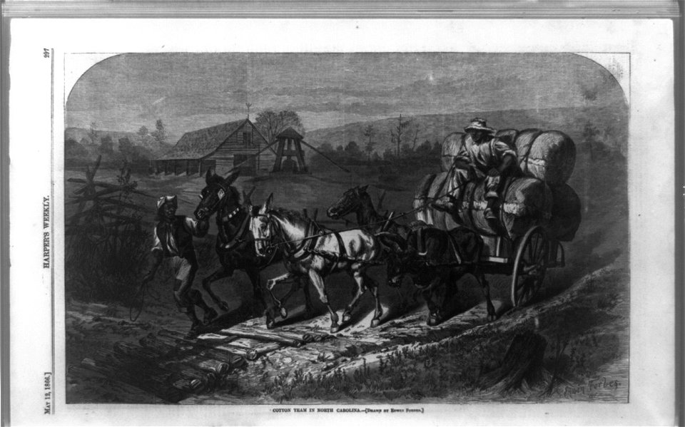 Cotton team in North Carolina LCCN93513244