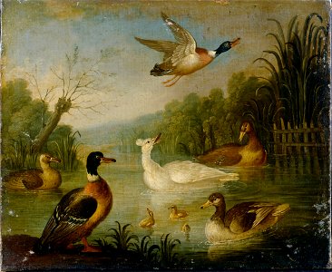 Cradock, Marmaduke - Mallards on a Pond - Google Art Project