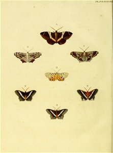 CramerAndStoll-uitlandsche kapellen vol. 3- pl 288