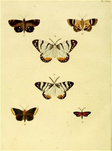CramerAndStoll-uitlandsche kapellen vol. 3- pl 251