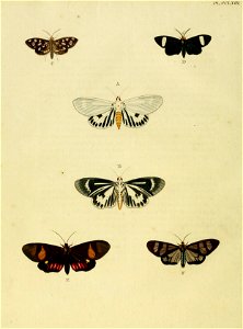 CramerAndStoll-uitlandsche kapellen vol. 3- pl 263